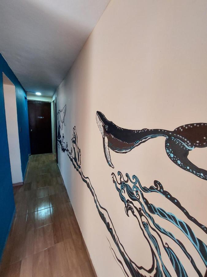 Venado 28 Vandrehjem Cancún Eksteriør billede