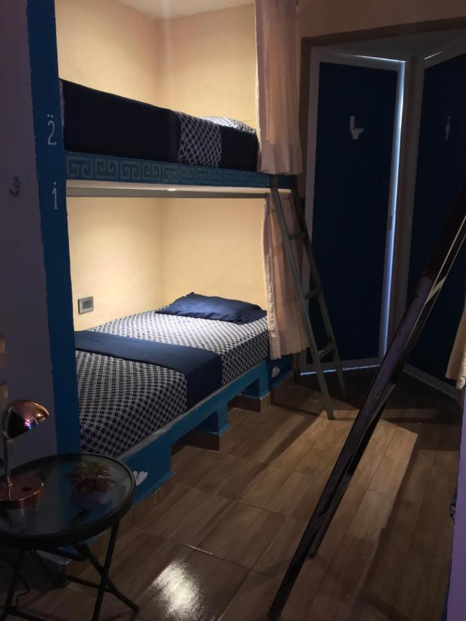 Venado 28 Vandrehjem Cancún Eksteriør billede
