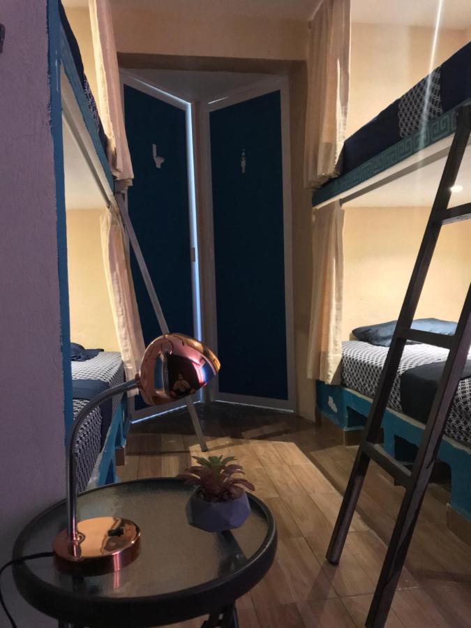 Venado 28 Vandrehjem Cancún Eksteriør billede