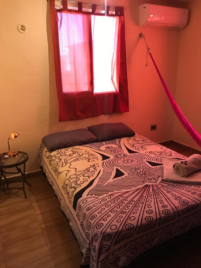 Venado 28 Vandrehjem Cancún Eksteriør billede